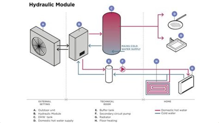 A module without a basis