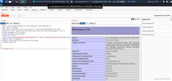 Access logs errors "/vendor/phpunit/phpunit/src/Util/PHP/eval-stdin.php" when using Nginx without PHP