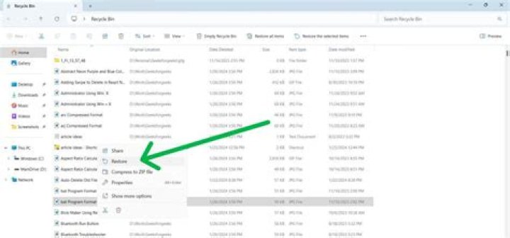 Accidently removed very important file of my project using command "cp" [duplicate]