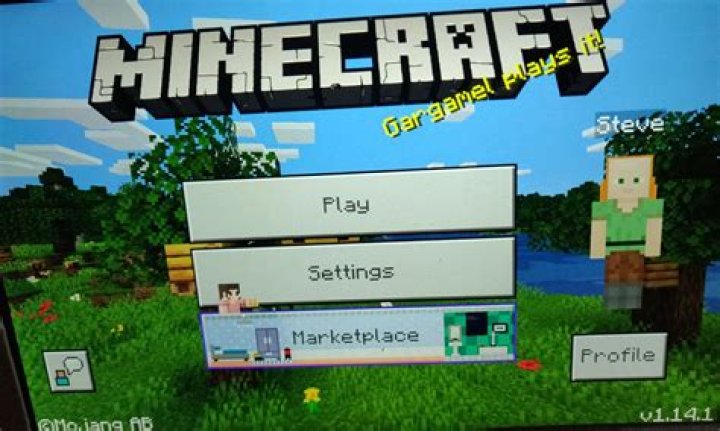 Android Minecraft always shows as Steve
