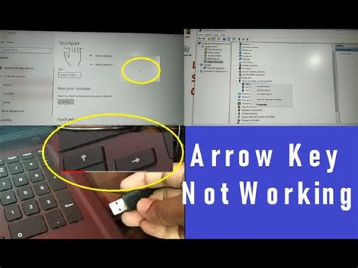 Arrow keys, Home, End, tab-complete keys not working in shell