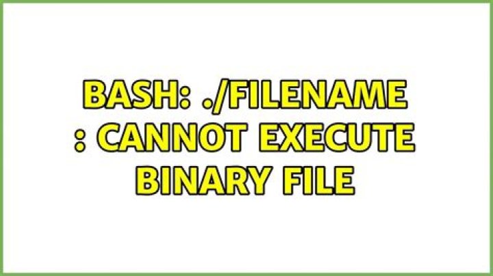 Bash: ./filename : Cannot execute binary file