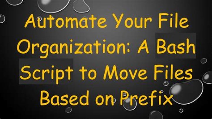 Bash script to move files