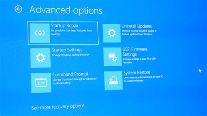 Boot options not appearing after Esc and all F## keys held when powering up laptop