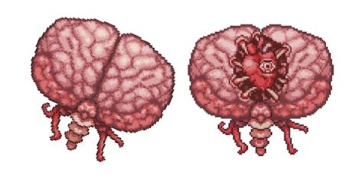 Brain of Cthulu won't spawn every other time I use the bloody spine