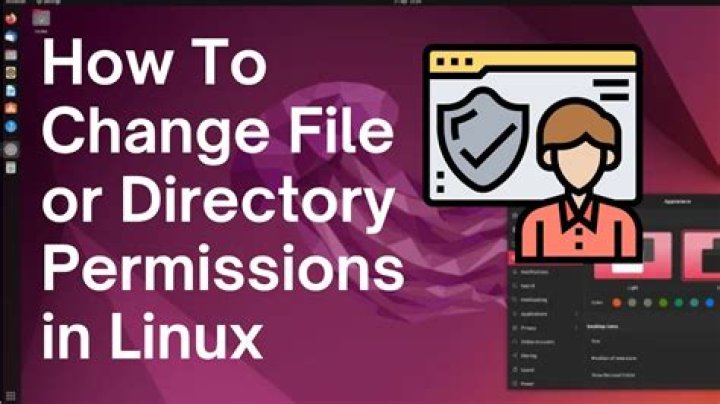 Can't change permissions on extracted files Ubuntu 13.10