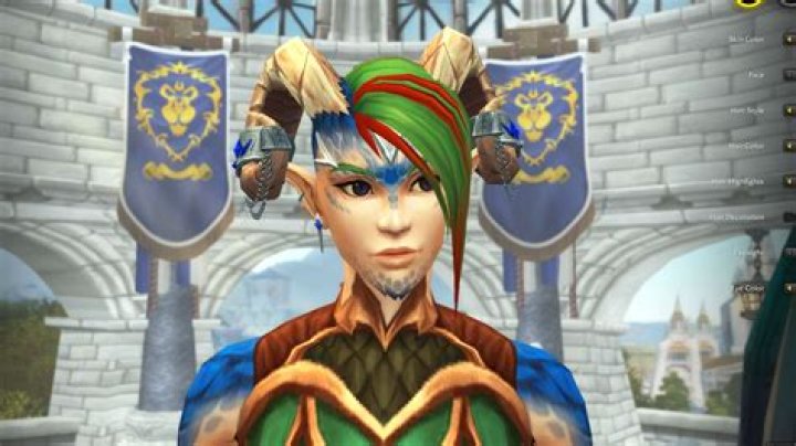 Can't enter name or biography during character creation