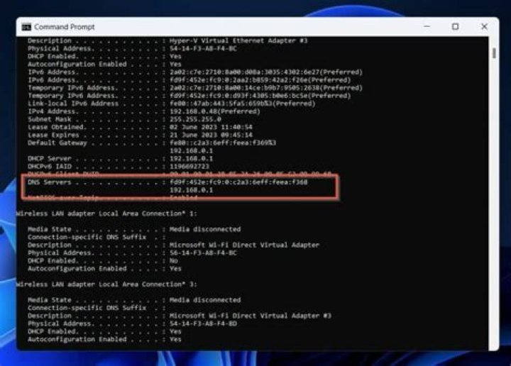 Can connect to port 53 but nslookup fails