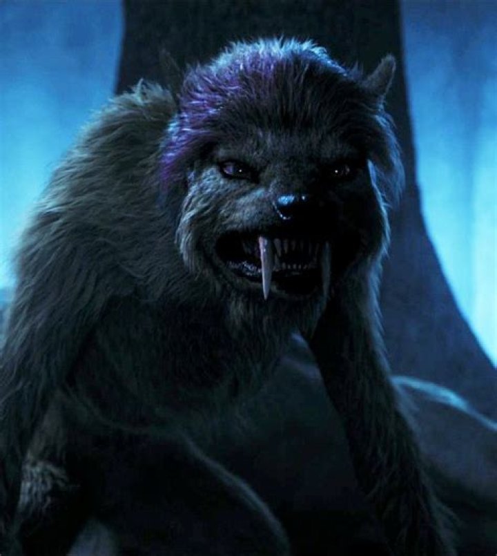 Can I join the dark brotherhood as a werewolf?