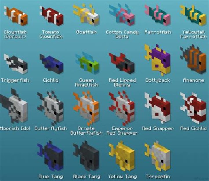 Can you breed fish in Minecraft?