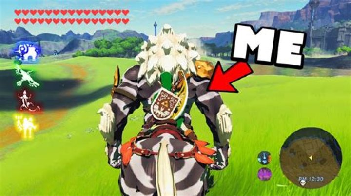 Can you tame a Lynel?