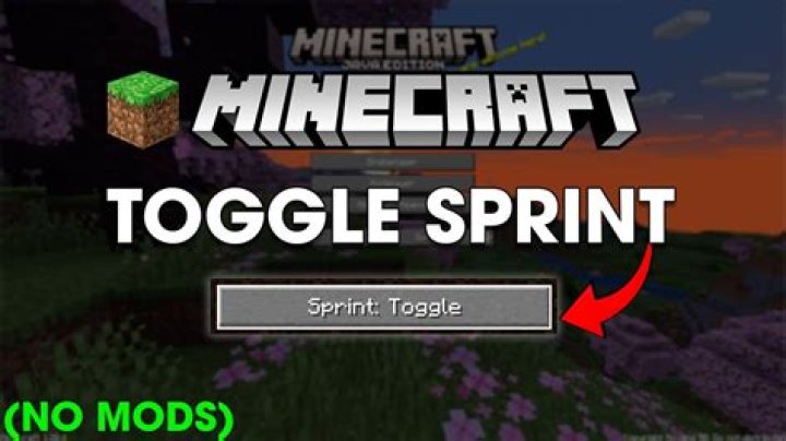 can you toggle sprint on BF3 on pc