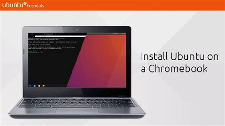 Chromebook, Ubuntu and Second Life