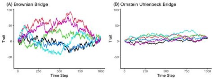 Compute expectation and covariance of Brownian bridge