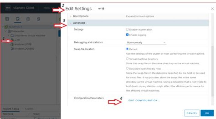 Copy/paste and drag&drop not working in VMware machine with Ubuntu