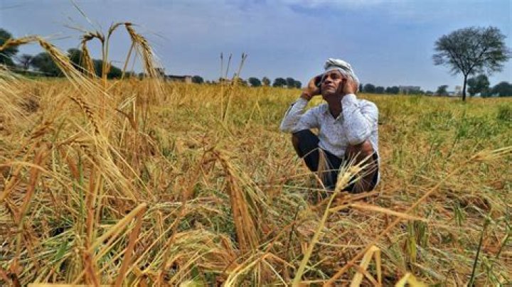 Crop size to Farmers Ratio