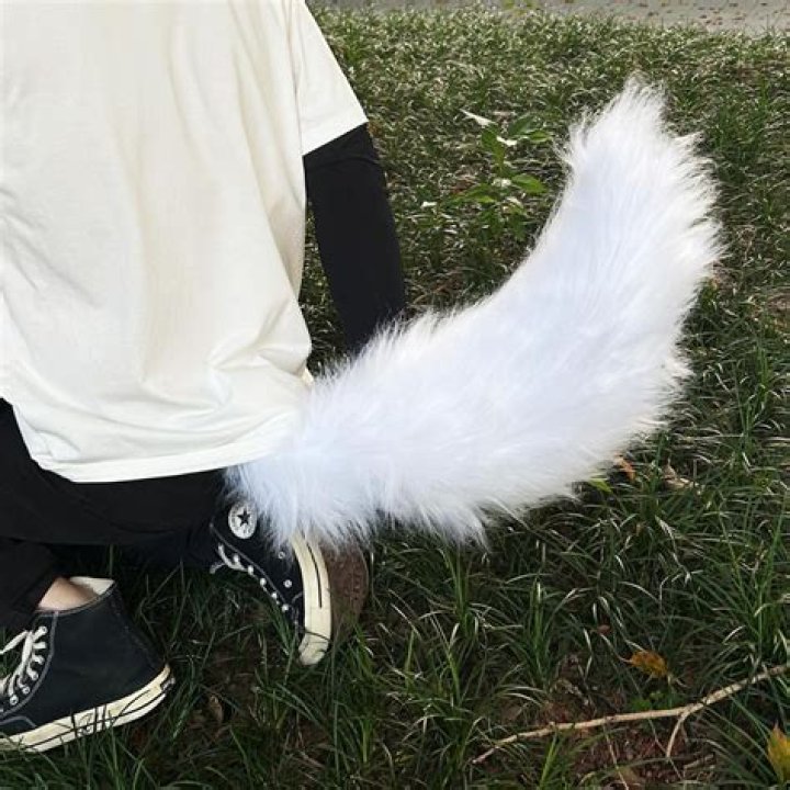 Data Tag For Dogs/Wolfs tail