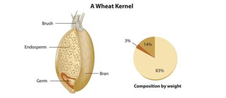 Definition of kernel