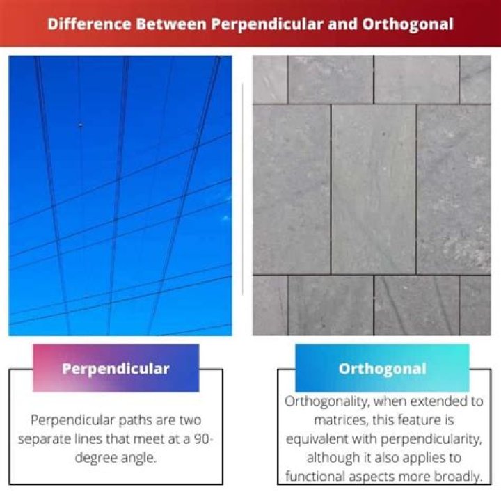 Difference between Perpendicular, Orthogonal and Normal