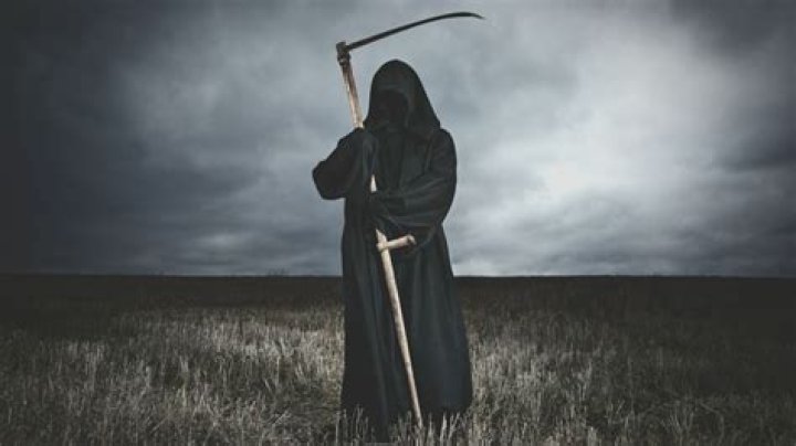 Do the Reapers only kill sentient life?