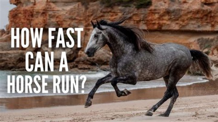 Does being mounted on a horse make fast traveling faster?