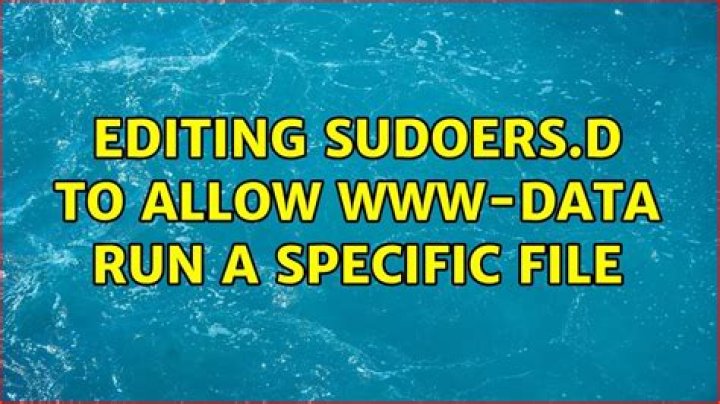 Editing sudoers.d to allow www-data run a specific file