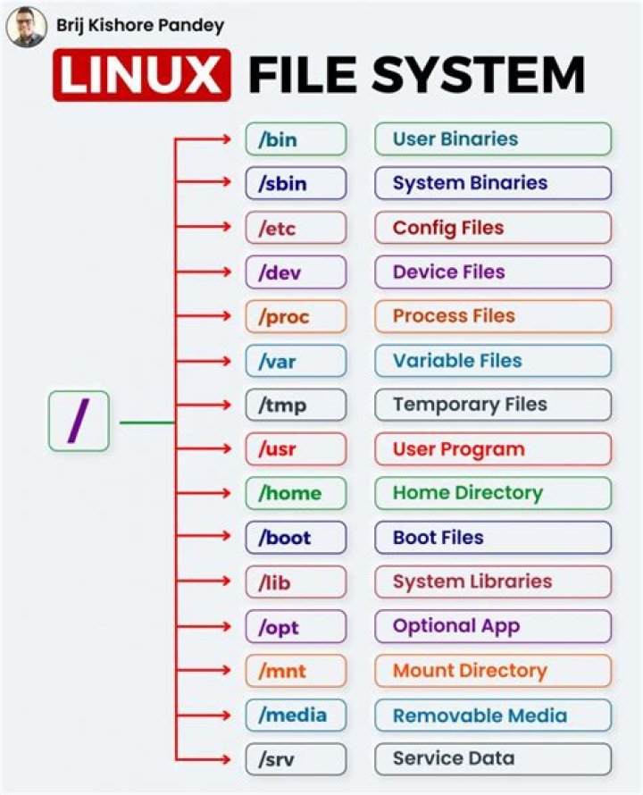 Find all python files in linux file system [duplicate]