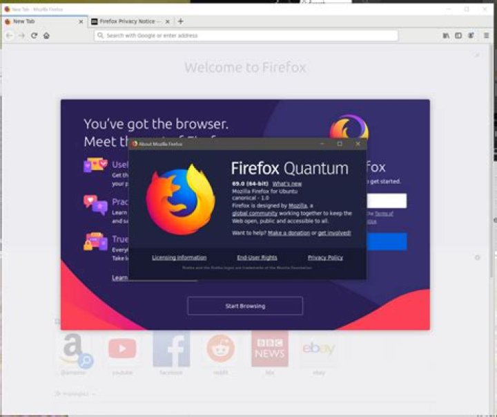 Firefox Not Updating Because snapd not present