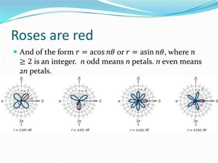For the graph of a rose ($r=\cos k\theta$), why d0es are there 2k petals for even values of k while only k petals for odd values of k?