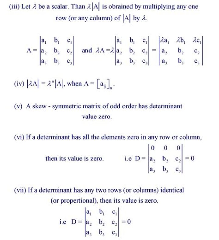 Generalizing Determinants Through Multilinear Algebra and Immanants