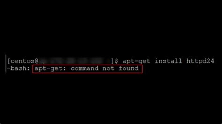 hamster: command not found and also unable to build from source code