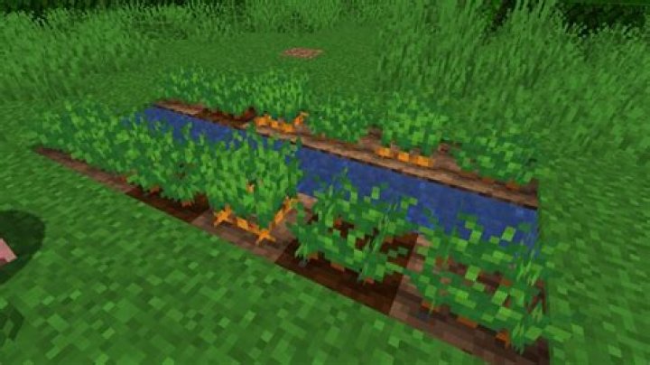 How can I find carrots and potatoes in an older (pre-vegetable) minecraft world seed