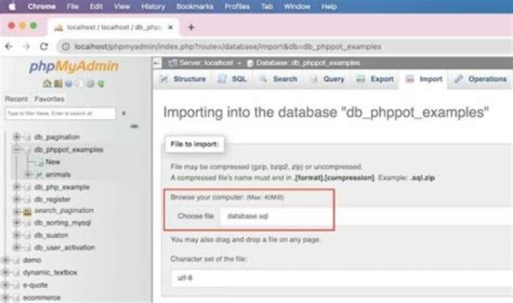How can I import a database using command line?
