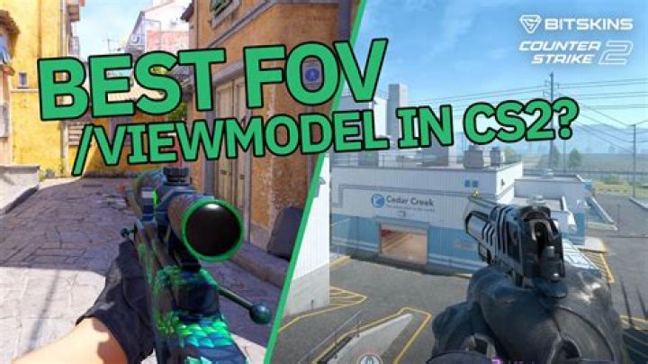 How can I turn off viewmodels for certain weapons?