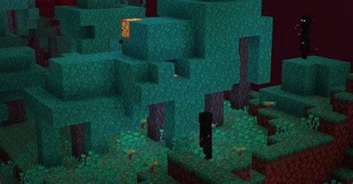 How do I find a warped forest in the Nether?