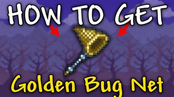 How do I get the bug net?
