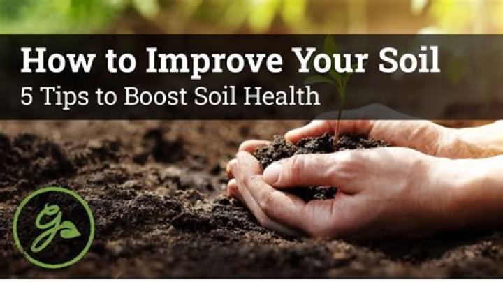 How do I improve the quality of the omni plant?