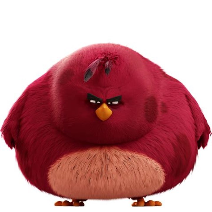 How do I run Angry Birds?