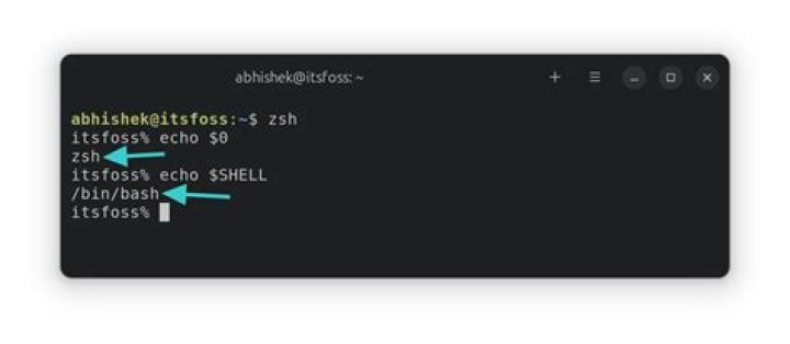 How do I set fish as the default shell?