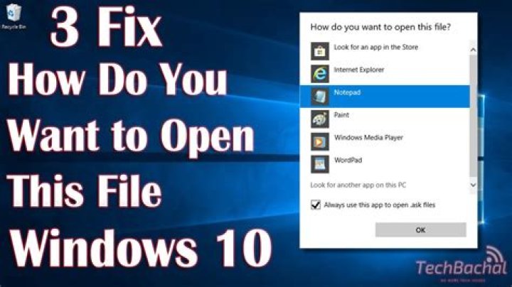 How do you want to open this file?