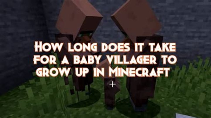 How long does it take for cows to grow up in Minecraft? [duplicate]