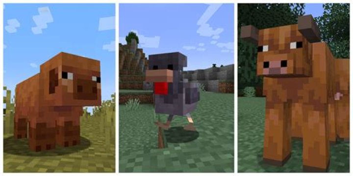 How to change mobs' health with NBT?
