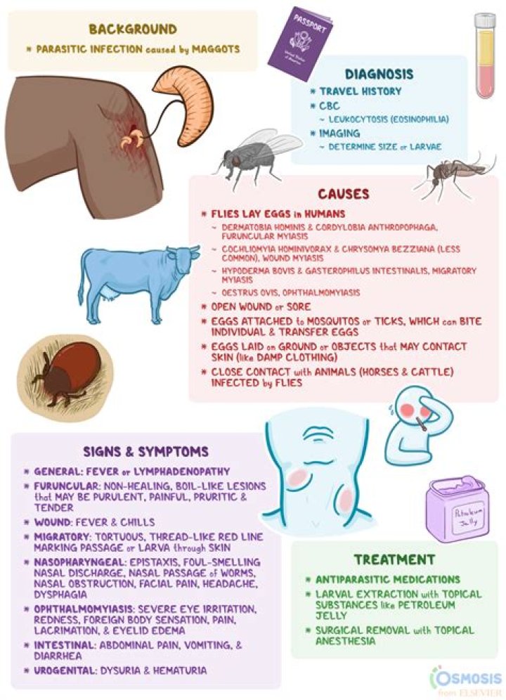 How to completely get rid of bug infestations in RimWorld?