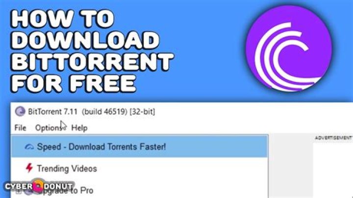 How to disable Bit Torrent Client