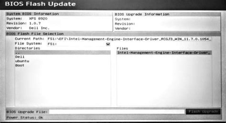 How to do BIOS/UEFI update on a Ubuntu system?