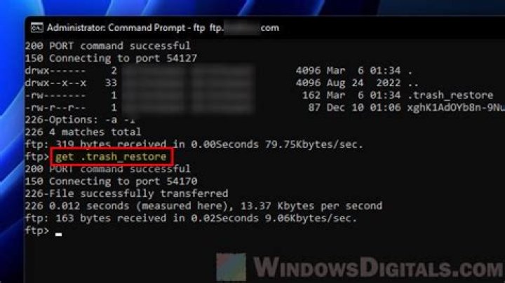 How to download a whole FTP site using command line?