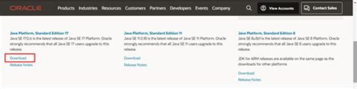 How to download and install Oracle Java by a script?