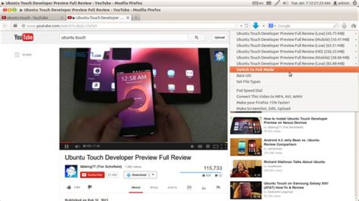 How to download flash (streaming) videos from sites like youtube, dailymotion, vimeo, etc.?