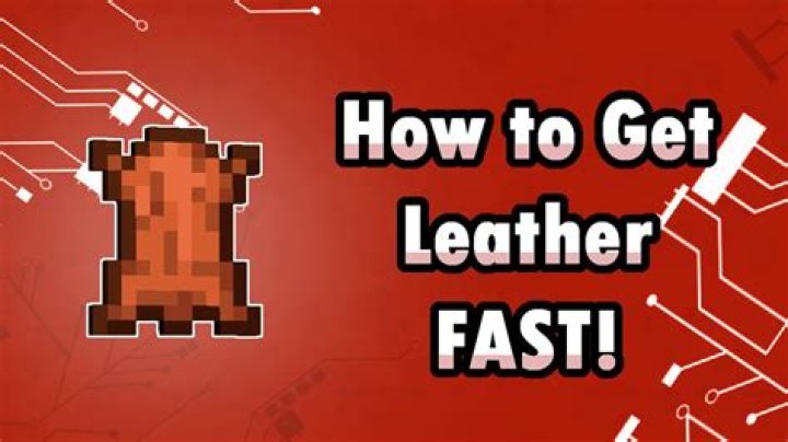 How to get minecraft leather without cows or rabbits