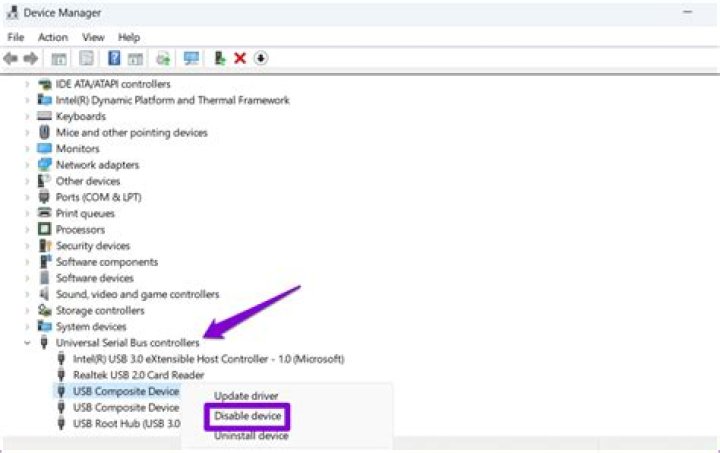 How to permanently disable autosuspend for specific USB port?
